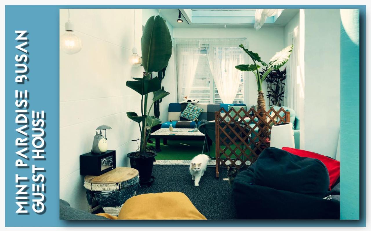 Mint Paradise Busan Extérieur photo